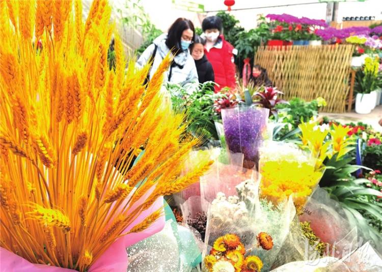 年味儿渐浓 衡水高新区花卉市场购销两旺
