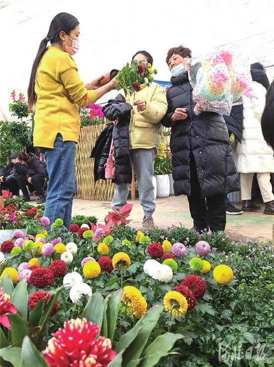 年味儿渐浓 衡水高新区花卉市场购销两旺