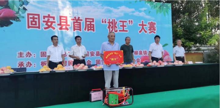 河北固安举办首届“桃王”赛