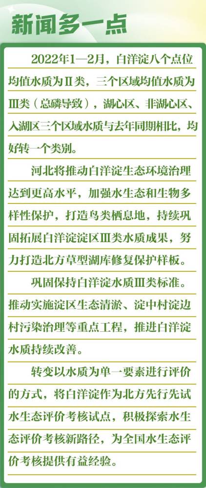 燕赵新作为 年中看亮点丨荷红苇绿 白洋淀生态环境持续向好