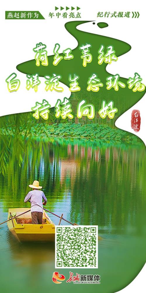 燕赵新作为 年中看亮点丨荷红苇绿 白洋淀生态环境持续向好