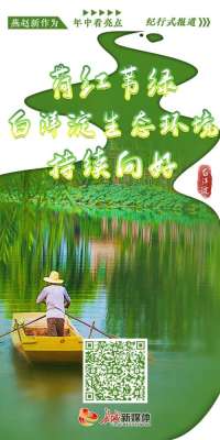 燕赵新作为 年中看亮点丨荷红苇绿 白洋淀生态环境持续向好