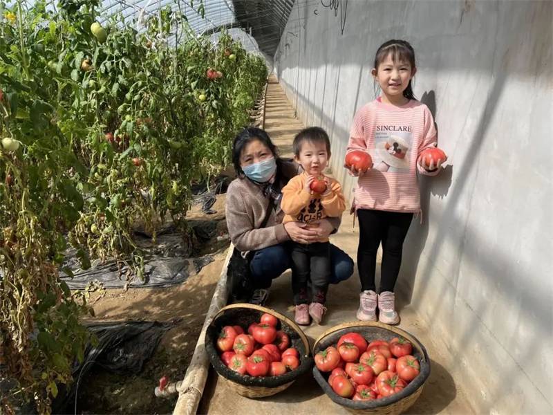 河北深州：特色家庭农场鼓起农民钱袋子
