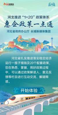 很好用！河北惠企政策，“一点”就通！