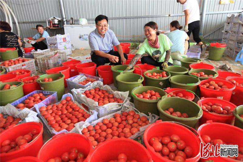 解放思想奋发进取 交出高质量发展优异答卷 | 张家口怀安县委这样说