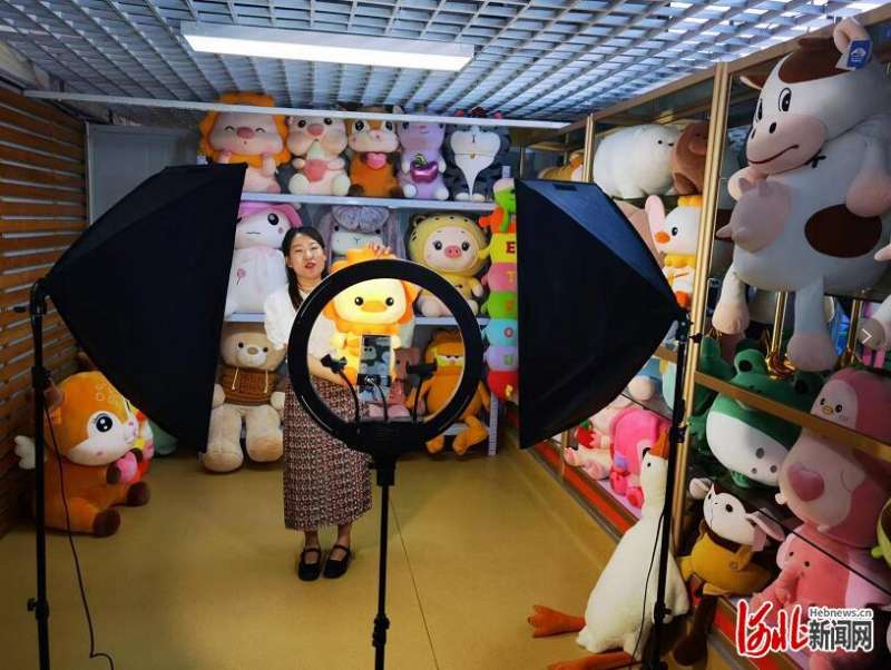 （雄安新区）跨境电商晾马台产业园开园暨玩具总基地揭牌