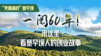 “美丽高岭”塞罕坝 | 一阅60年！来这里，看塞罕坝人的创业故事
