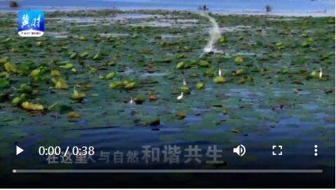 这十年·河北 | “心向往之”的雄安