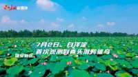 一群鸟、一口井、一片林…… 河北委打开美丽河北新相册