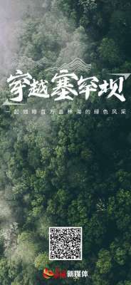 长城视频 | 穿越塞罕坝