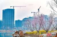 奋进新征程 建功新时代｜“雄安质量”托起高品质未来之城