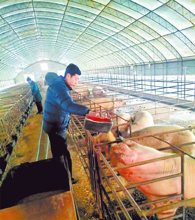 2020，我们在奋斗中携手走过