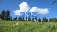 这十年｜守护碧水蓝天 燕赵地绿意盎然