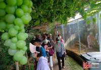 秦皇岛市海港区：关爱计生特殊家庭 这个活动温暖又贴心
