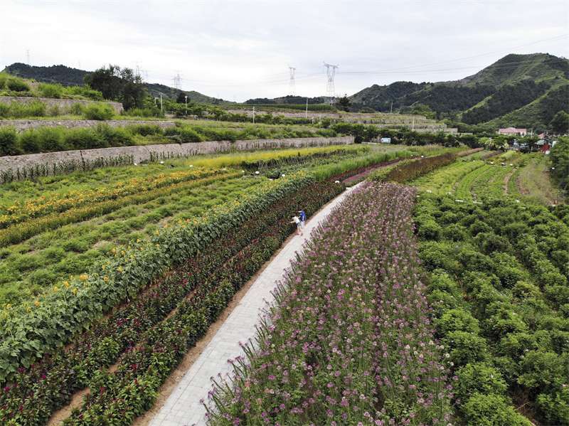 河北滦平：打造多业态全域旅游格