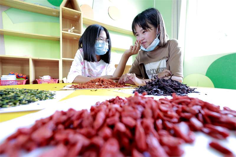 河北：缤纷暑假