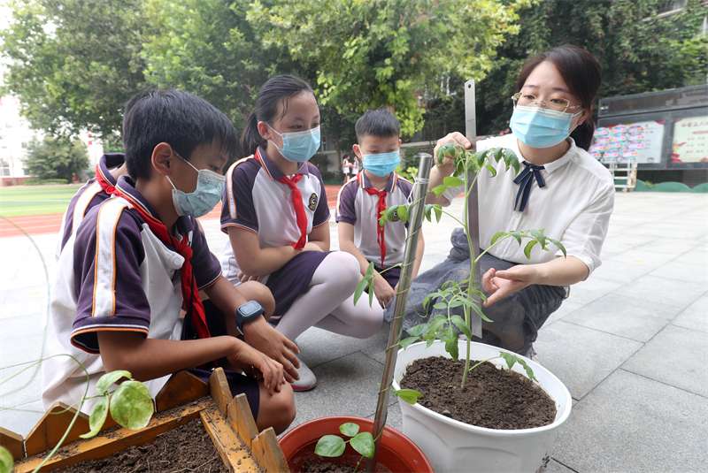 河北：缤纷暑假