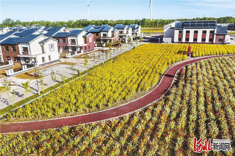 张家口精准施策 让成果更稳固