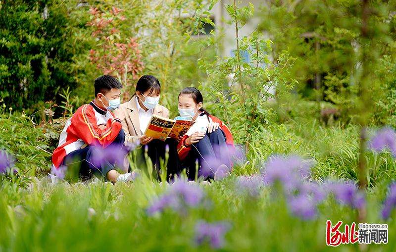 河北临城：世界读书日 校园觅书香