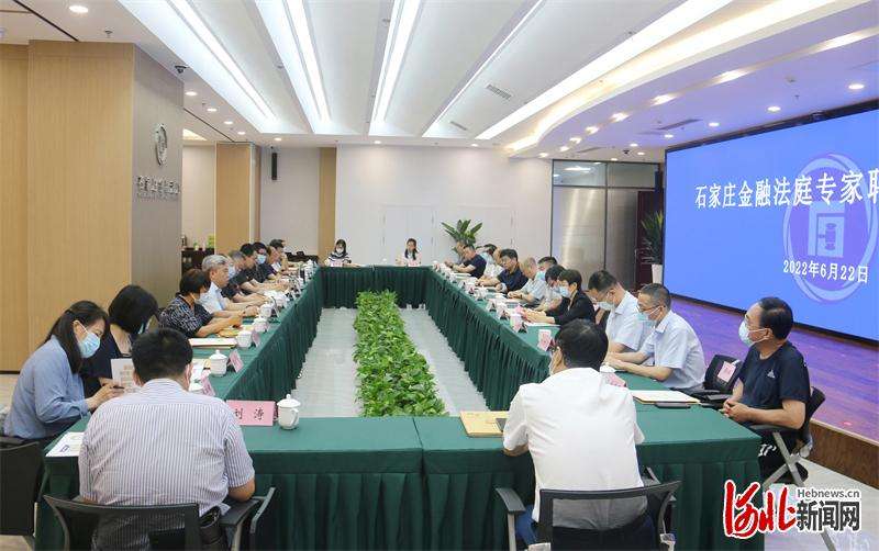 石家庄金融法庭专家顾问和咨询