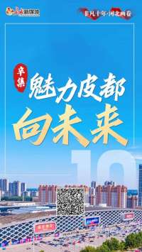 非凡十年·河北画卷丨辛集：魅力皮都向未来