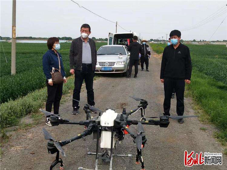 乐亭：无人机高效助推小麦“一喷三防”工作