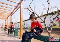 河北广宗：春暖花开  读书声琅