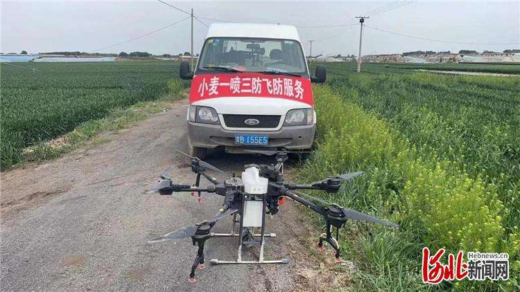乐亭：无人机高效助推小麦“一喷三防”工作