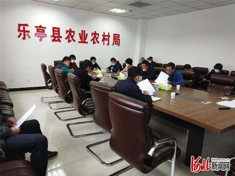 乐亭：无人机高效助推小麦“一喷三防”工作