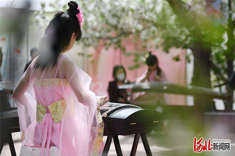 河北怀来：“花为媒”引领乡村振兴新画卷