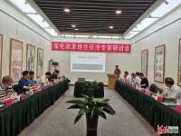 深化稳住经济专家研讨会在石 听这些专家说了啥