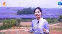 【深入贯彻落实委十届二次精神】抢占未来发展制高点④：点亮绿色未来