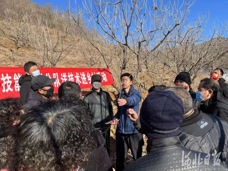 鹰手营子矿区农业农村开展果树修剪技术培训