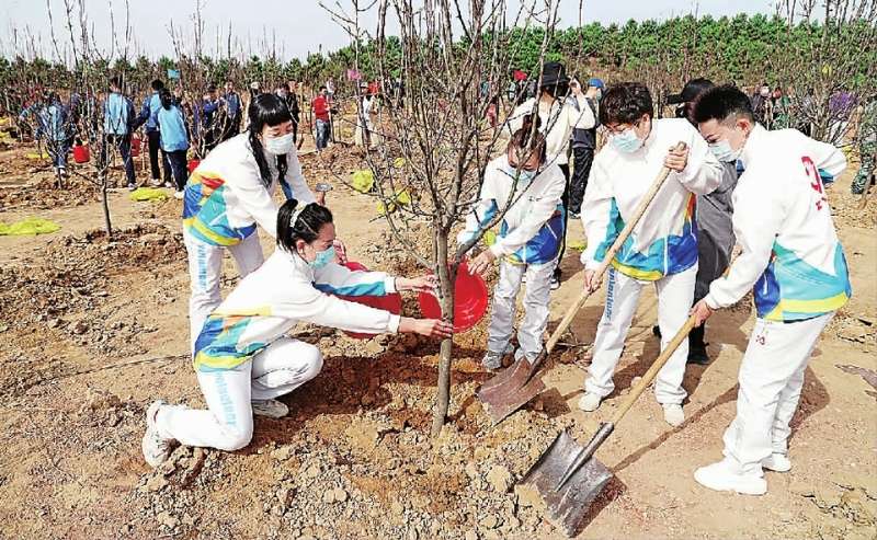 张家口：植一棵树增一抹绿