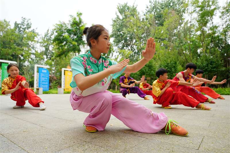 河北清河：学非遗武术 过快乐暑假