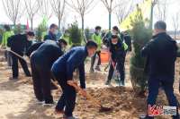 河北阳原：抢抓春光植新绿 掀起全民植树热潮