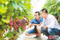 河北衡水扎实开展“我为群众办实事”实践活动 群众的“急难愁盼”就是民生项目清单