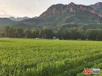 市场监管总认可检测司与河北承德县孟家庄村建联学共建初见成效