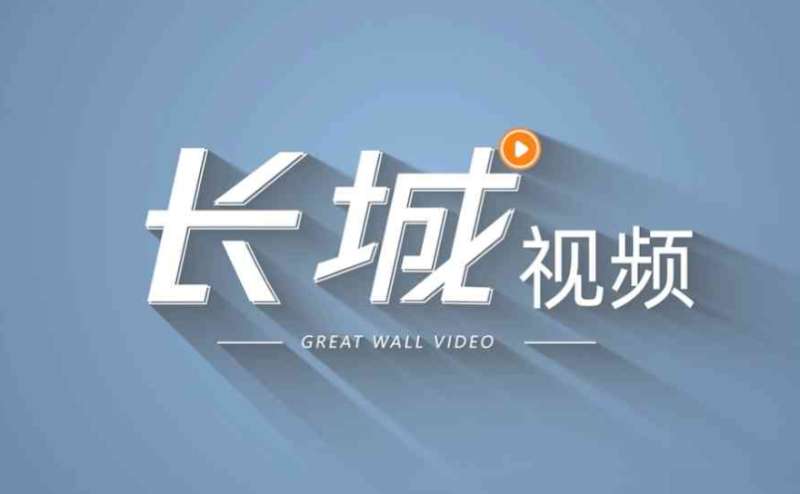 归来·久别重逢的生态之美②｜驼梁豹影