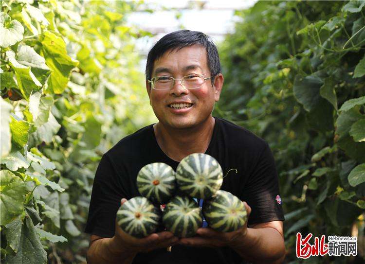 固安：“甜蜜果”助农增收
