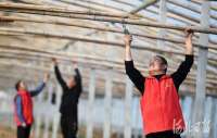 河北隆尧：建引领助力乡村振兴