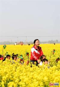 河北阜城县白乡：万亩油菜花开引客来
