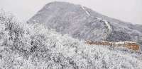 样边长城迎春雪