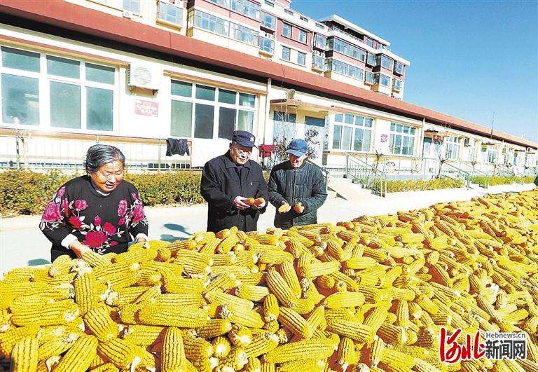 河北阜城试点推行村居互助养老模式