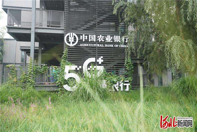 【行走自贸区】雄安自贸试验区：实现由规划转入规模的良好开