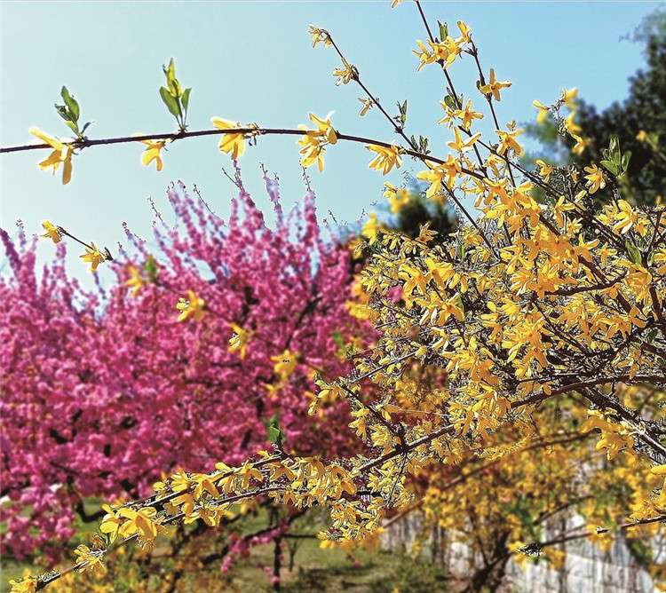 唐山市区仲春赏花地图