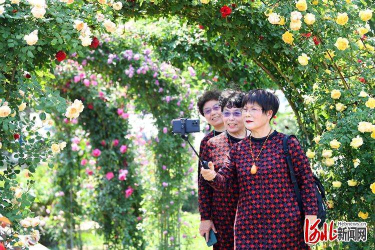 廊坊广阳区主题公园打造宜居主城区