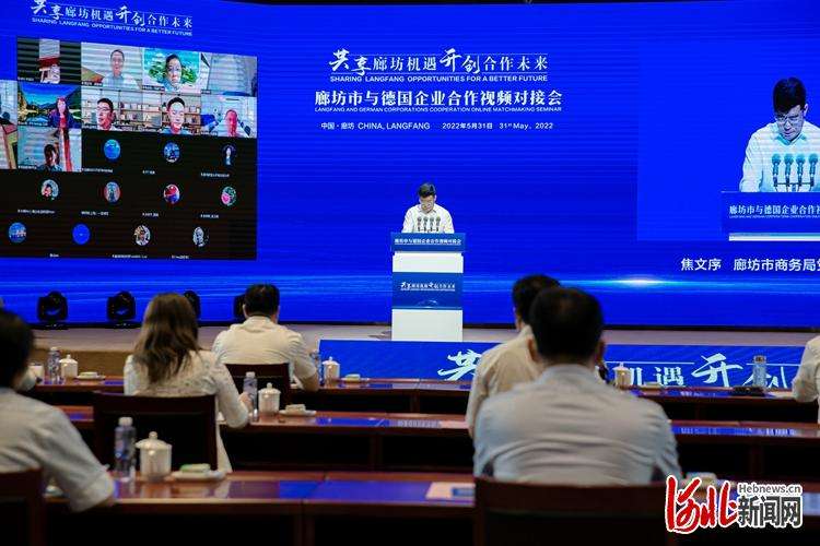 廊坊市与德国企业举行合作视频对接会