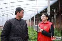 河北广宗：学生助力乡村振兴