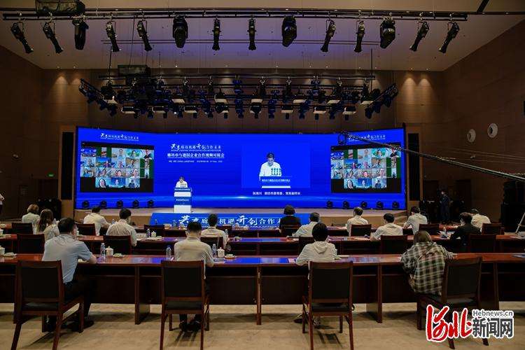 廊坊市与德国企业举行合作视频对接会